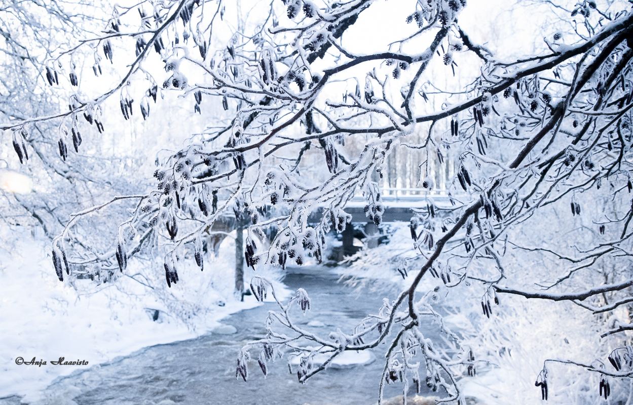 The breath of Winter